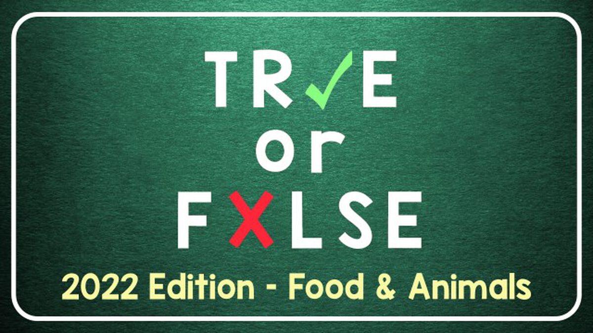 TRUE or FALSE - 2022 Edition: Food and Animals image number null